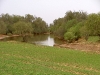 bit-of-green-in-creek-003