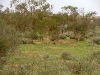 Camp ground