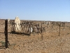 cemetery-chad-loader-014