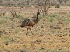 mrtle-mum-dads-visit-05