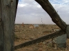 town-032