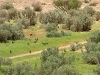 water-run-after-rains-035