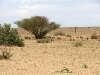water-run-after-rains-036